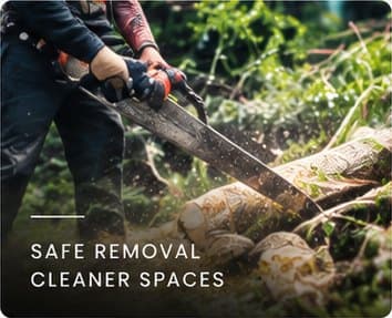 Safe removal, cleaner spaces