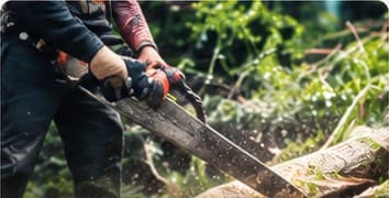 Log sectioning and clean-up